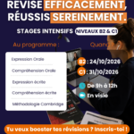 stage intensif examens cambridge B2 C1